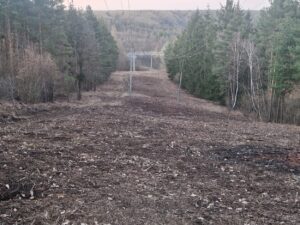 Pomulčovaná plocha po vyhrabání biomasy